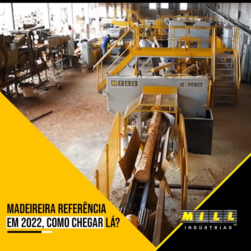 Madeireira referência em 2022: como chegar lá?